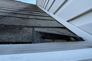 Broken shingle exposing the underlayment