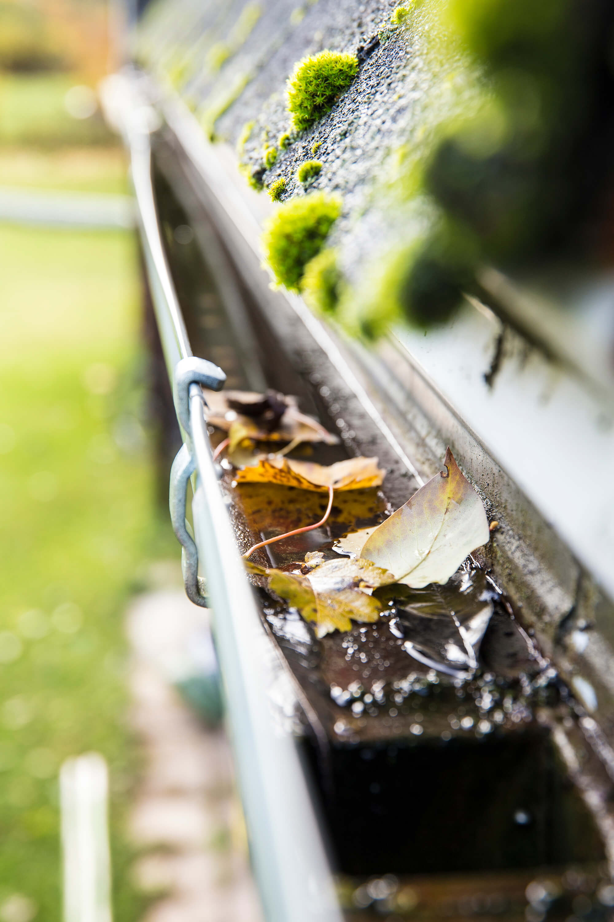 clogged gutter and moss