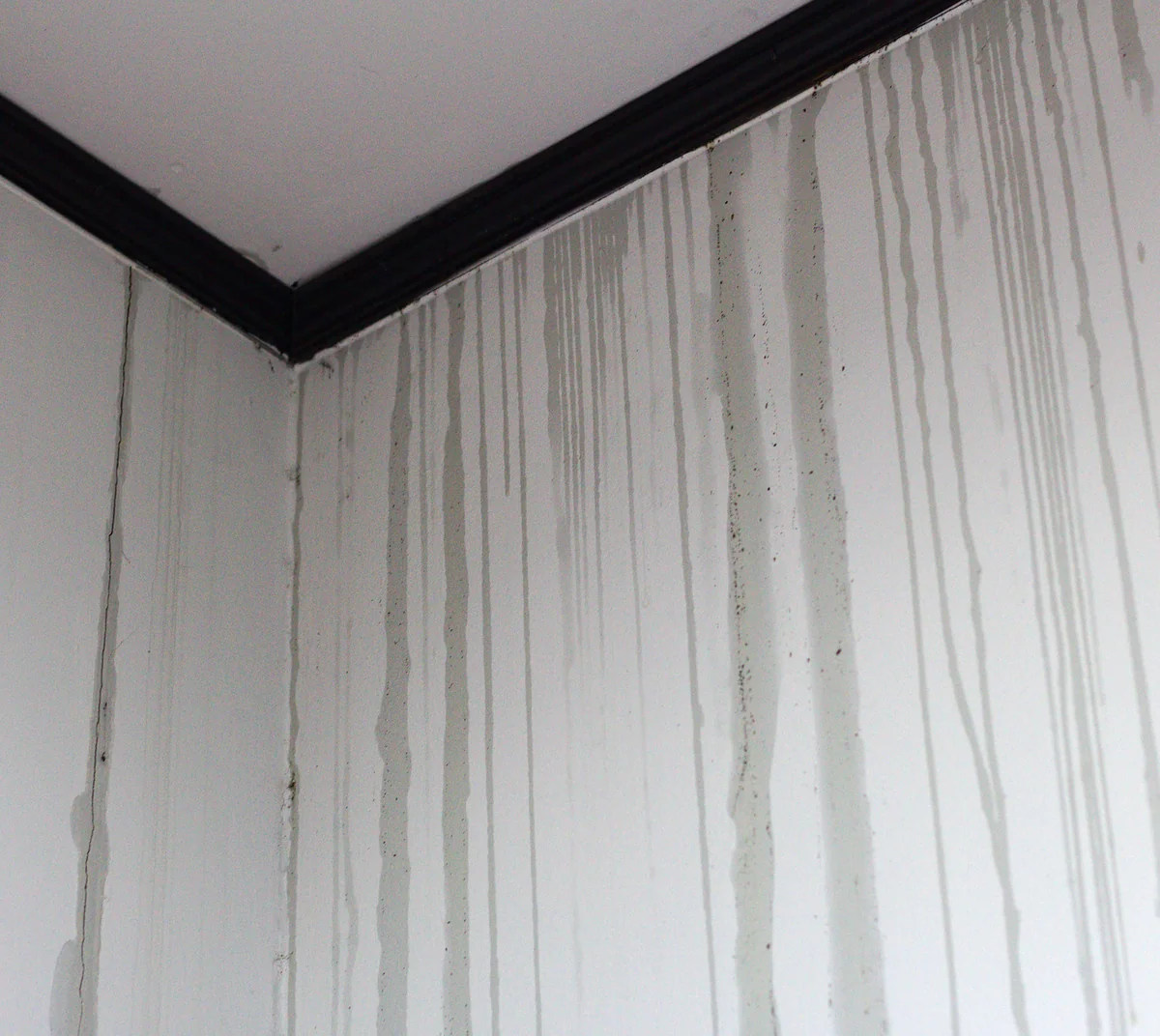 Water stains streaking down an interior wall below the ceiling line, a sign of a roof leak that an inspection or thermal scan would trace