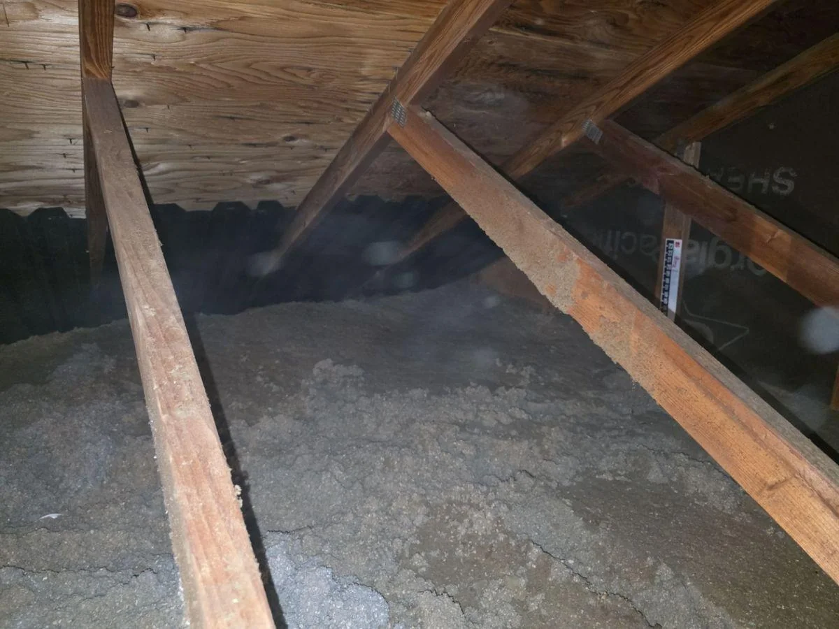 Older loose-fill insulation lies flattened across an attic floor between the trusses.