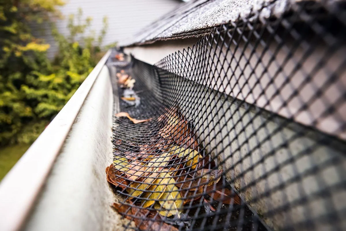 Fallen leaves pile on top of a mesh gutter guard instead of inside the gutter below it.