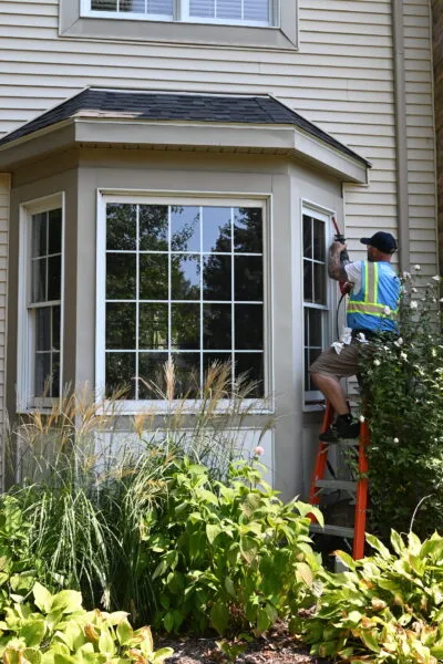 Windows And Doors Image 3