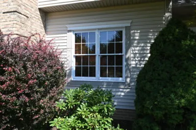 Windows And Doors Image 5