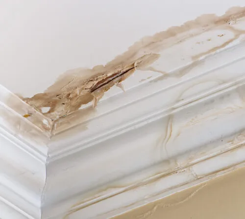 Water damage to a ceiling
