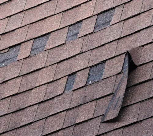 Damaged shingles on an asphalt roof