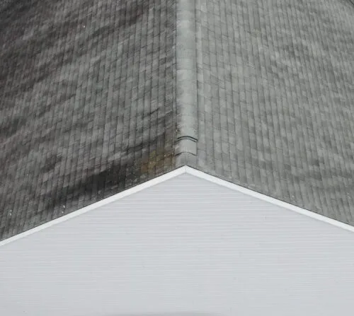 Water damage on an asphalt shingle roof