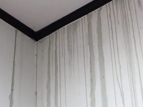 Water damage and leaks on interior walls during a storm