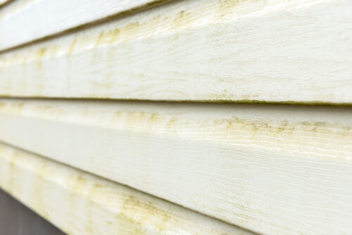 stained house siding