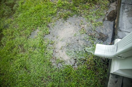 water pooling in yard by spout