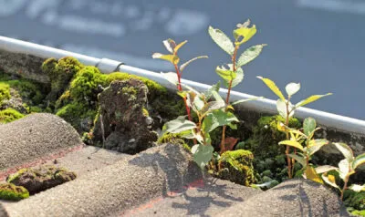 How Often to Clean Gutters