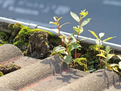 How Often to Clean Gutters