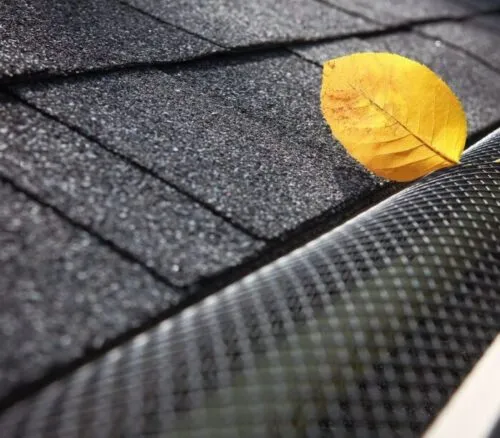 leaf caught in gutter guards