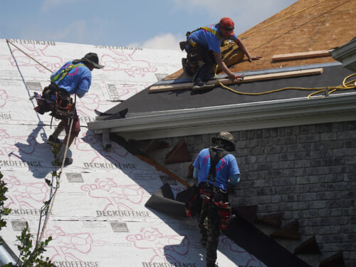 three Home Genius contractors working on a grey shingle roof