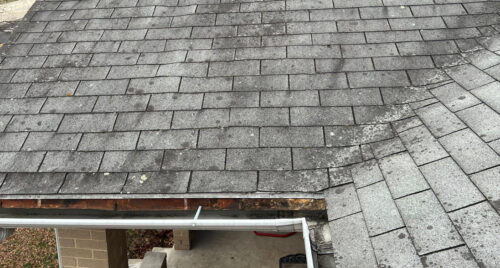 staining from algae on roof