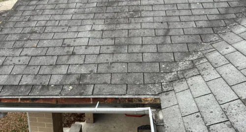 staining from algae on roof