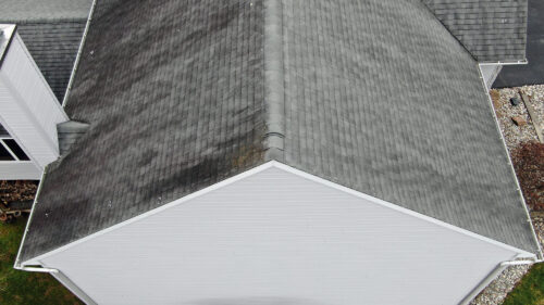 algae stain on roof