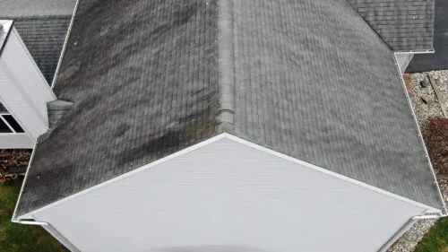 algae stain on roof